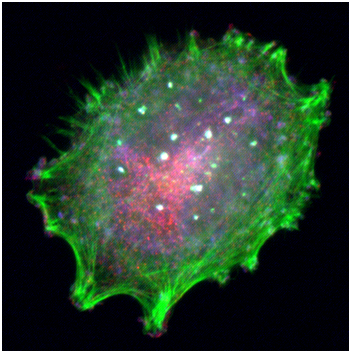 玩彩网·「中国区」官方网站