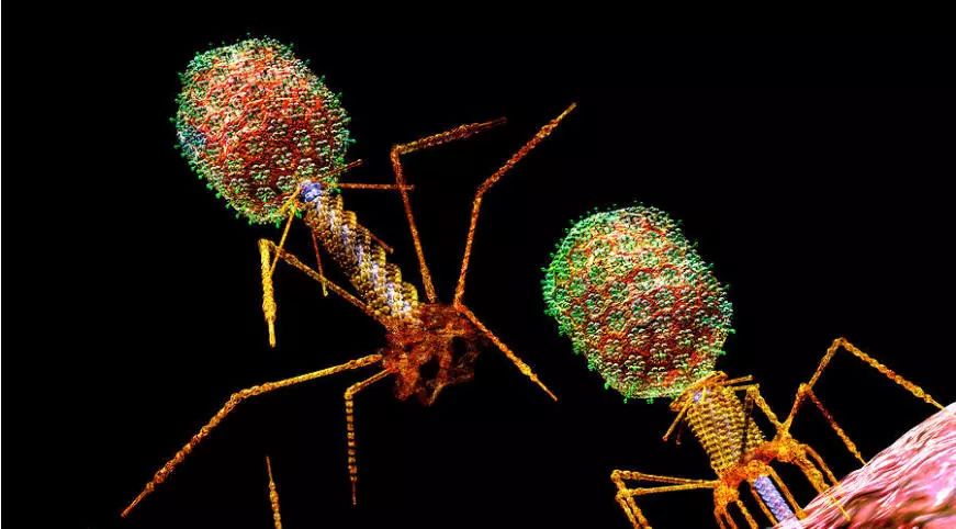 玩彩网·「中国区」官方网站