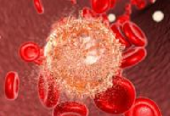 玩彩网·「中国区」官方网站