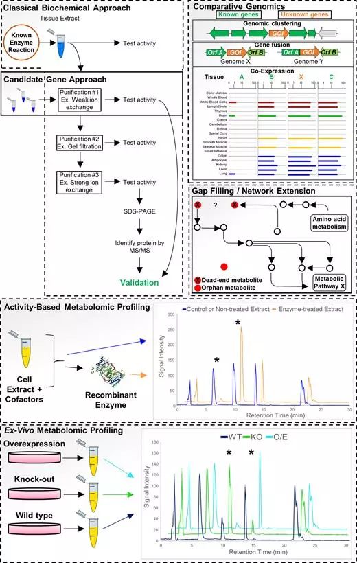 玩彩网·「中国区」官方网站