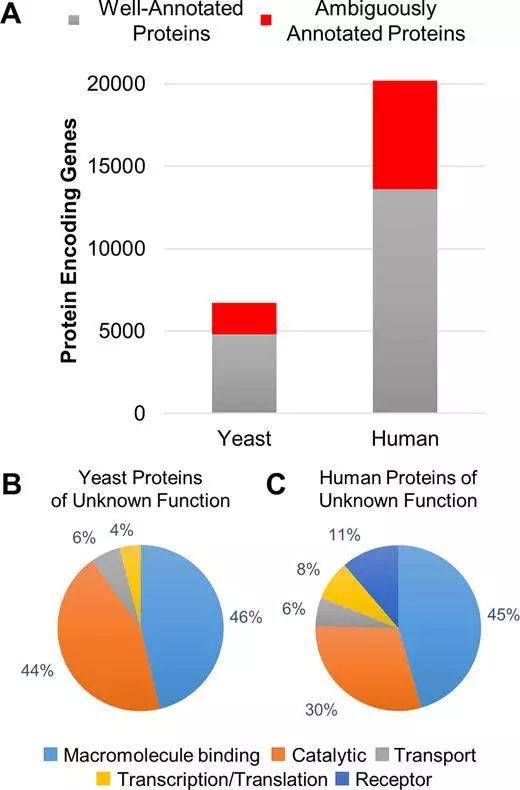 玩彩网·「中国区」官方网站