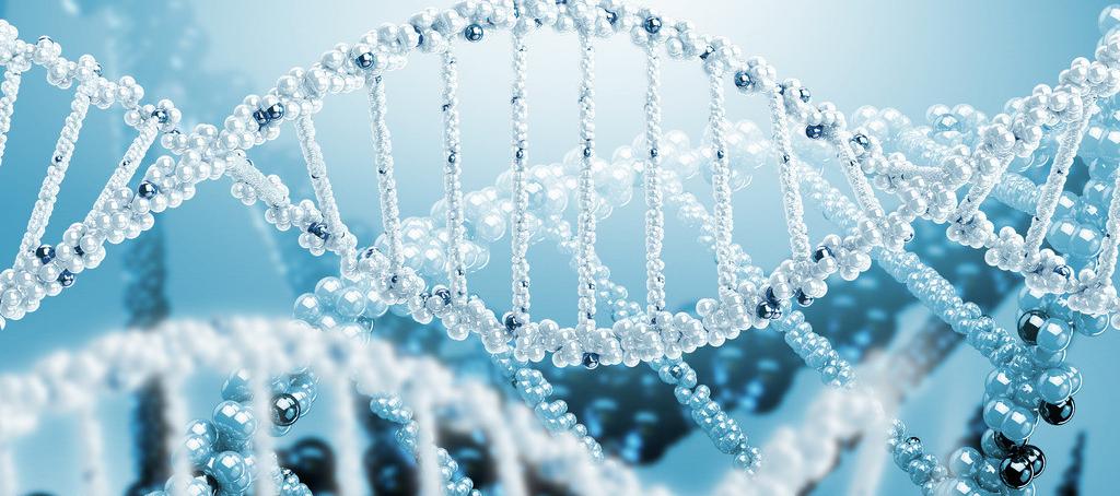 浅谈玩彩网抗体药物PK剖析要领学设计的思量要点