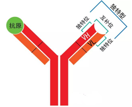玩彩网·「中国区」官方网站