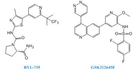 玩彩网·「中国区」官方网站