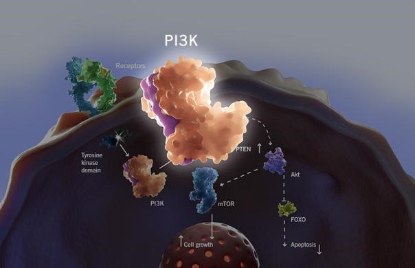 玩彩网·「中国区」官方网站