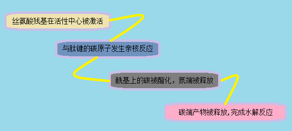 玩彩网·「中国区」官方网站