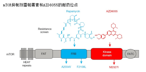 玩彩网·「中国区」官方网站