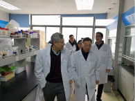 玩彩网开展办公场合节前清静卫生大检查