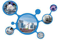 科创板首家CRO企业玩彩网获准注册