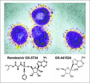基于细胞因子风暴和免疫炎症反映综合征，，，许多免疫相关靶点也可以列为冠状病毒的靶点。。。。。。