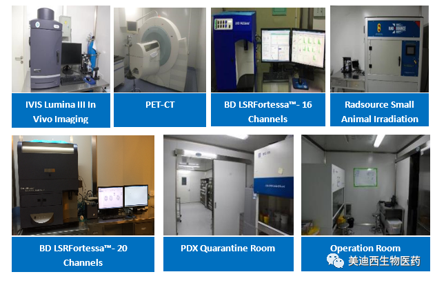 玩彩网药理部拥有IVIS Lumina III, PET-CT, BD LSRFortessa-16, Flow Cytometry等仪器，，，，，提供切合申报，，，，，支持临床试验的药效评价服务。。。。