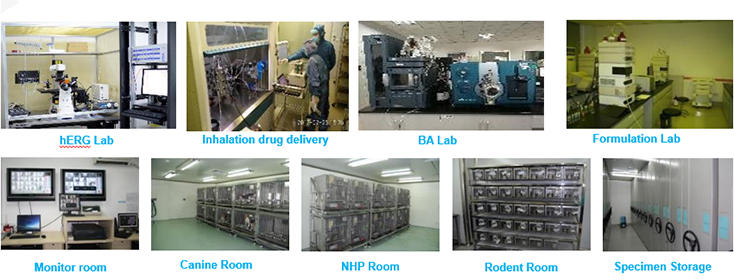 玩彩网毒理研究部装备