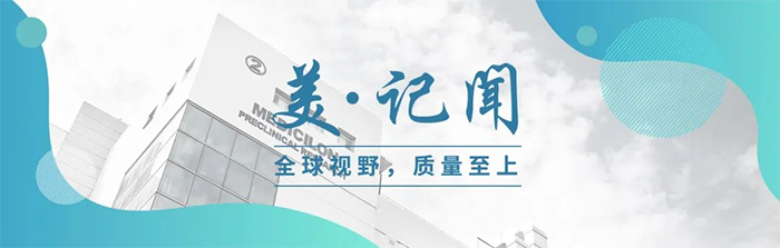 海宁市副市长杨文华一行调研玩彩网