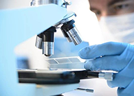 玩彩网代谢产品判断(MetlD)服务平台