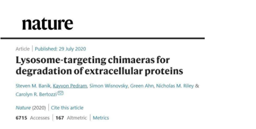 一种差别的卵白降解手艺——溶酶体靶向嵌合体（lysosome-targeting chimaeras, LYTACs）
