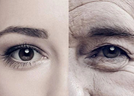 一种能够延伸寿命的降压药，，，，，你听说过吗？？