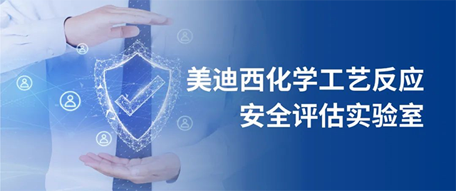 玩彩网化学工艺反映清静评估实验室 