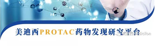 玩彩网PROTAC药物发明平台.png