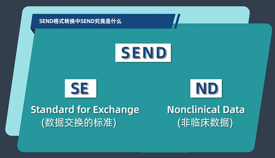 SEND名堂转换中的SEND事实是什么？？