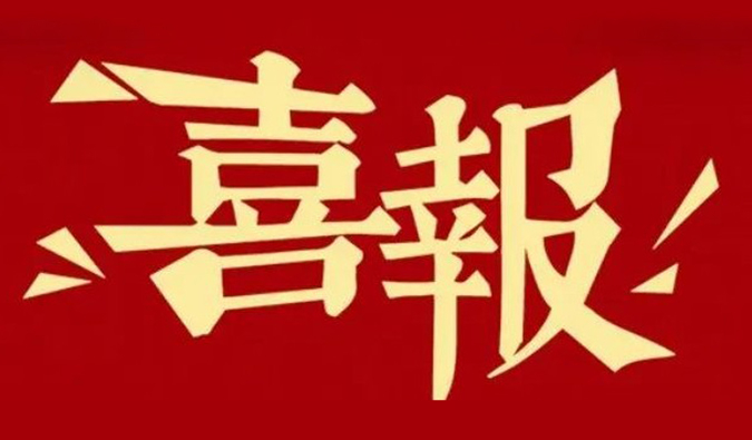 勇立异?重质量?心折务 | 玩彩网再获多个相助同伴赞许夸奖.jpg