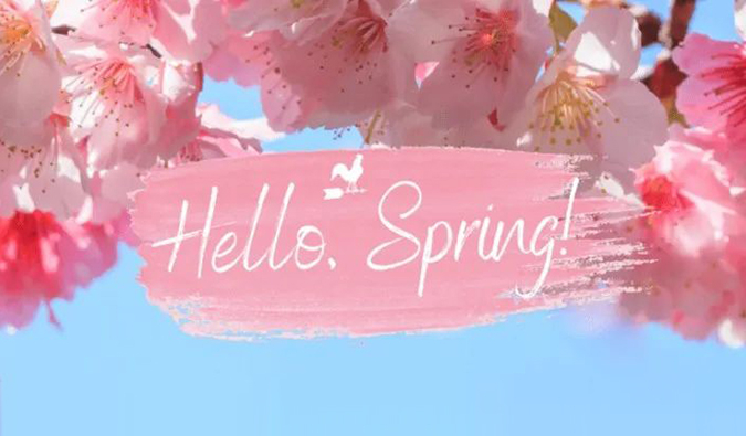 倒计时7天| 玩彩网春日礼遇第一波