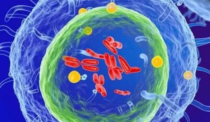  玩彩网助力 | 信诺维抗肿瘤1类新药XNW14010获批临床.png