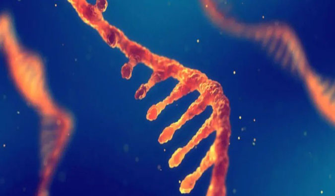 赋能核酸药物疗法，，迎接新药研发第三次浪潮