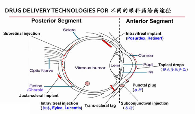 【内附回放+下半场预约】玩彩网眼科药物专题钻研会上半场精彩回首