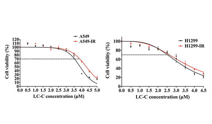 放射疗法用作肺癌的主要治疗要领，，本研究中建设抗电离辐射肺癌细胞系的放射治疗通过玩彩网举行