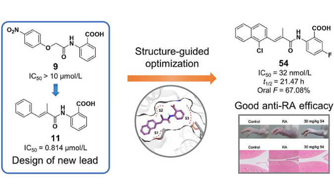 设计合成一系列DHODH抑制剂作为潜在的类风湿性枢纽炎治疗药物，，，，，本研究中PK实验通过玩彩网举行