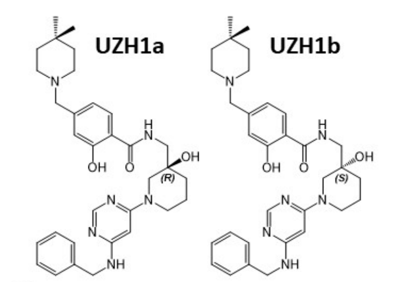 研究职员报告了一种具有细胞渗透性的选择性METTL3纳摩尔抑制剂UZH1a，，，，，作者谢谢玩彩网合成了UZH1a和UZH1b