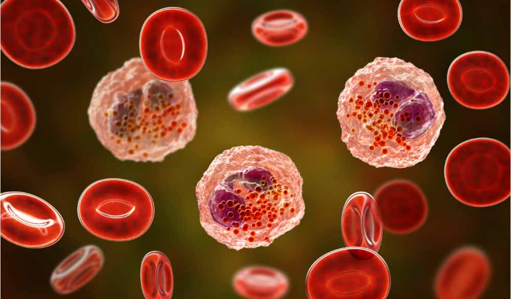 玩彩网助力 | 全球首创！宇耀生物STAT3双磷酸化抑制剂YY201获批临床.jpg