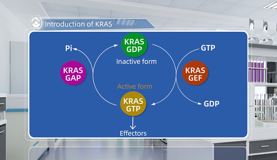 什么是KRAS？？？？？？