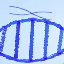 卵白表达与纯化服务