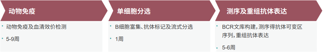 玩彩网单B细胞抗体发明平台