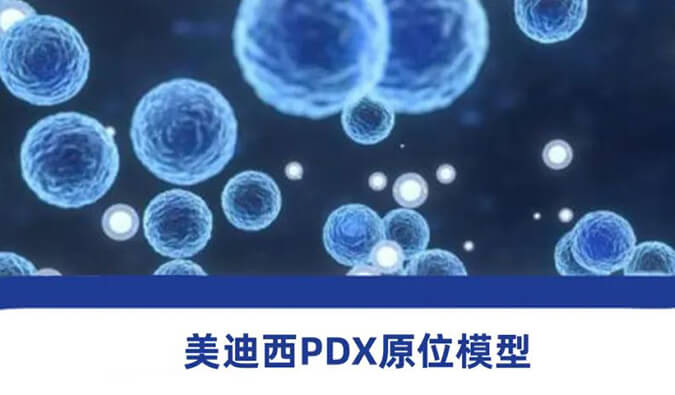 玩彩网118种PDX原位模子，，，，，，助力肿瘤药物研发