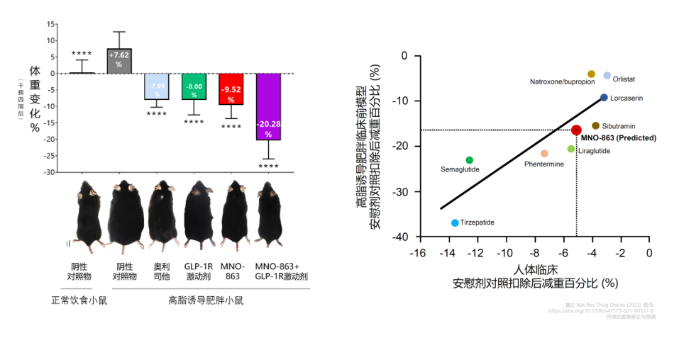 4周降低近10%体重！玩彩网助力慕恩生物MNO-863活菌生物药获批临床