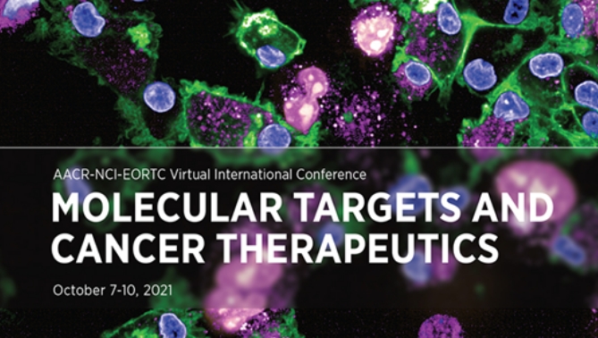 通过联合治疗提高免疫疗法疗效，，，，，，本研究中临床前体内药效研究通过玩彩网举行