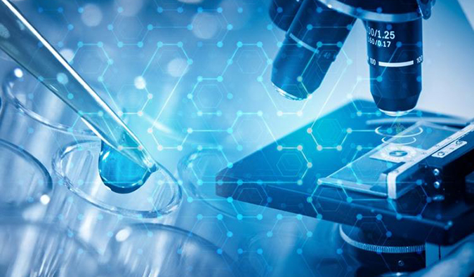 玩彩网AI手艺服务平台g